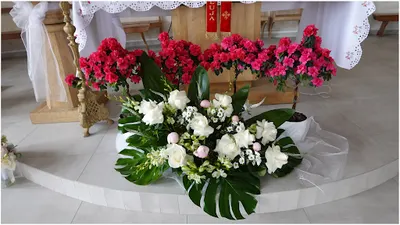 Kwiaciarnia Pod Storczykiem